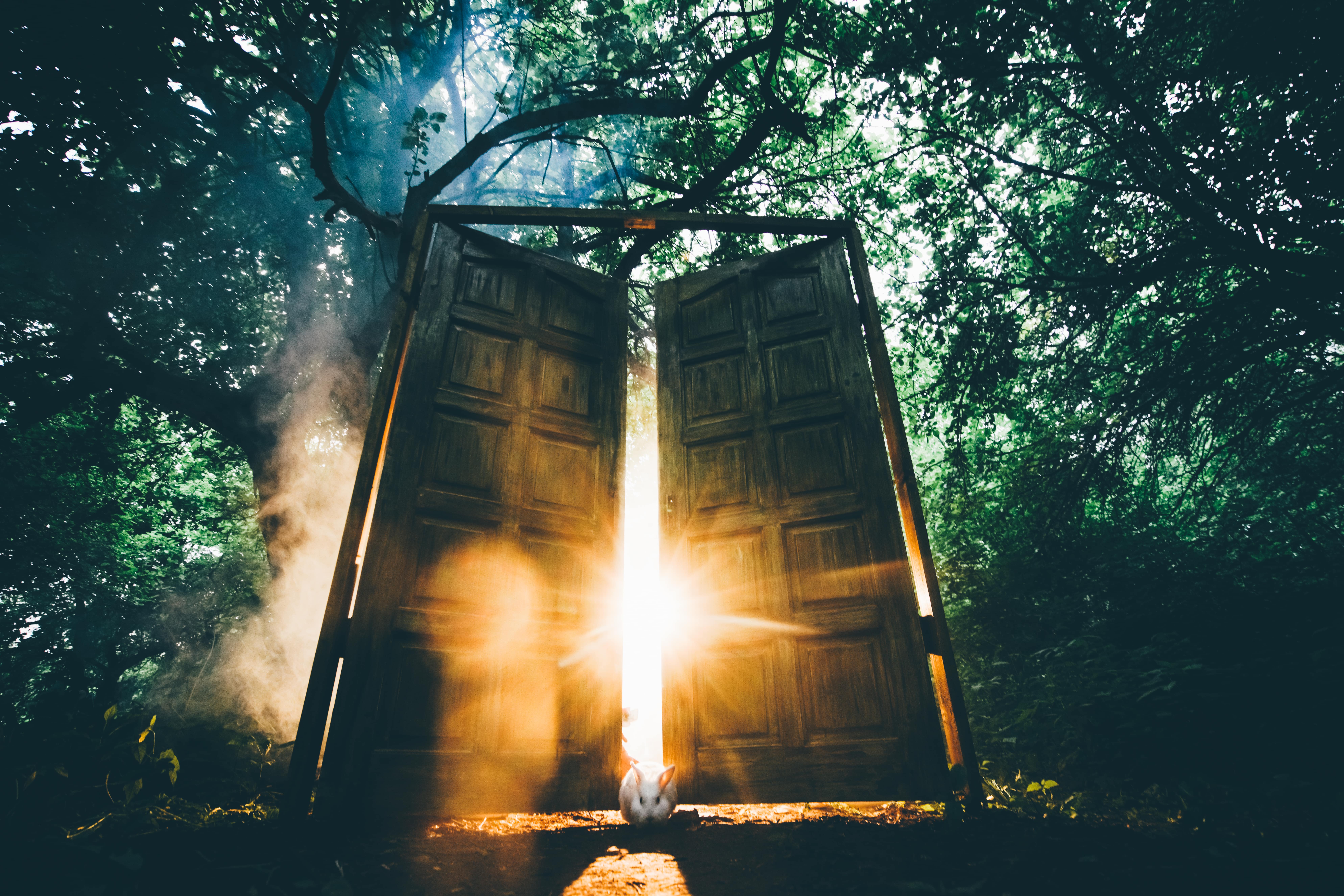 The Spiritual Path to Awakening